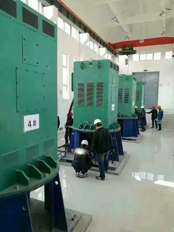 吉木萨尔某污水处理厂使用我厂的立式高压电机安装现场